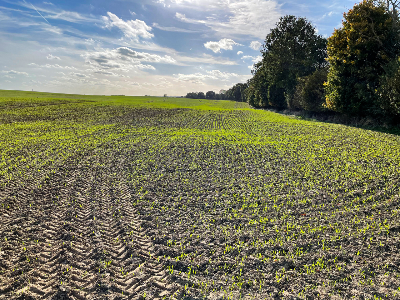 Foto: Christiane Lang